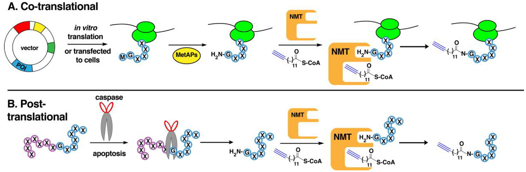 Figure 12.