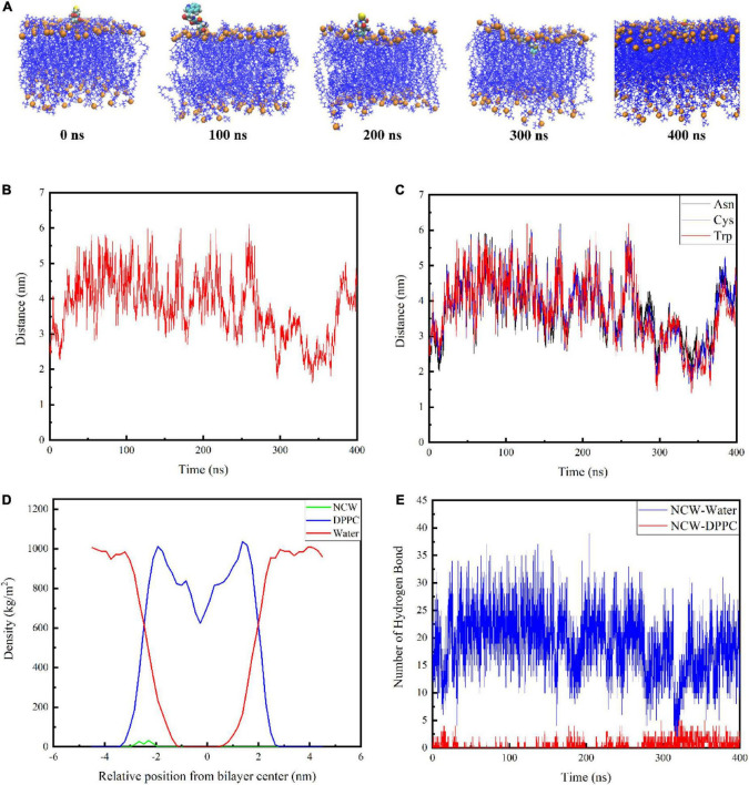 FIGURE 2