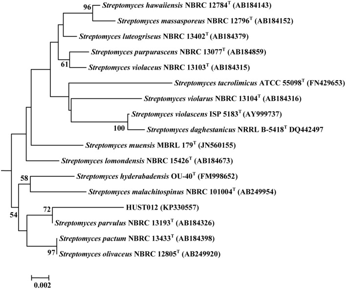 Figure 2