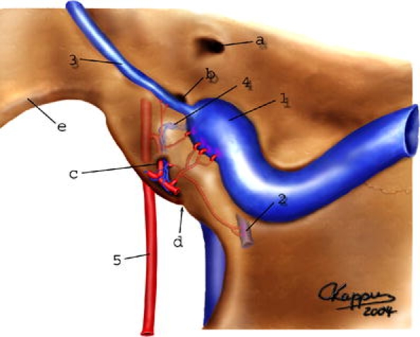 Fig. 7