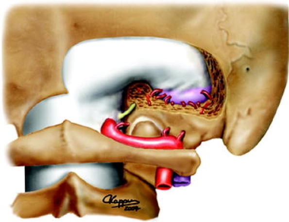 Fig. 6