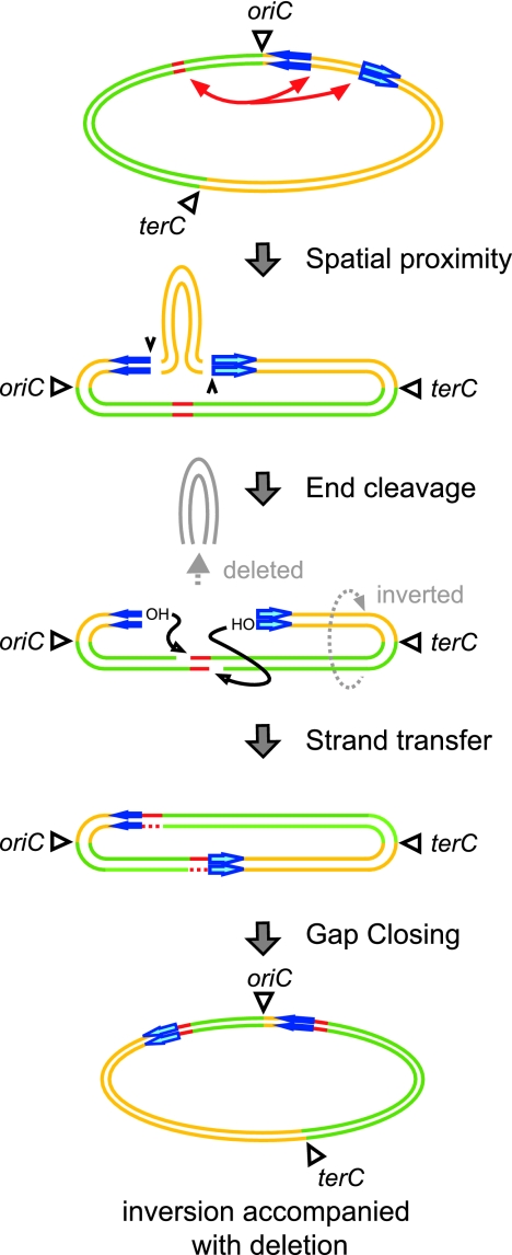 FIG. 3.