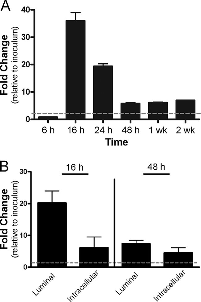 FIG. 6.