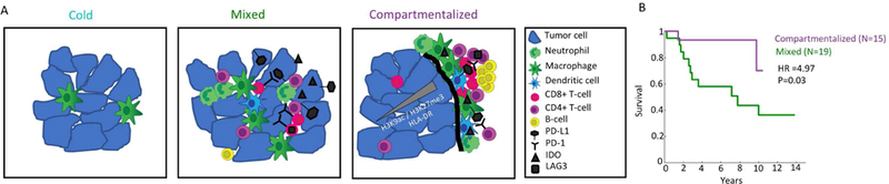 Figure 7: