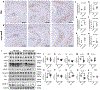 Figure 6: