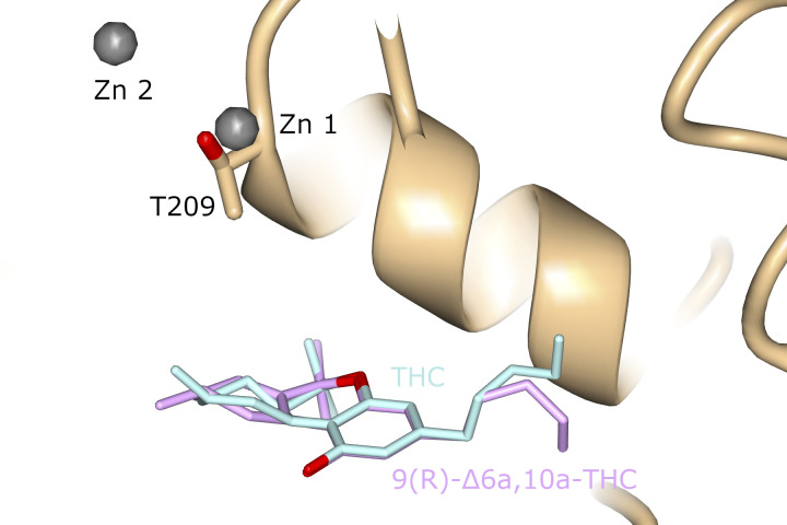 Figure S4.