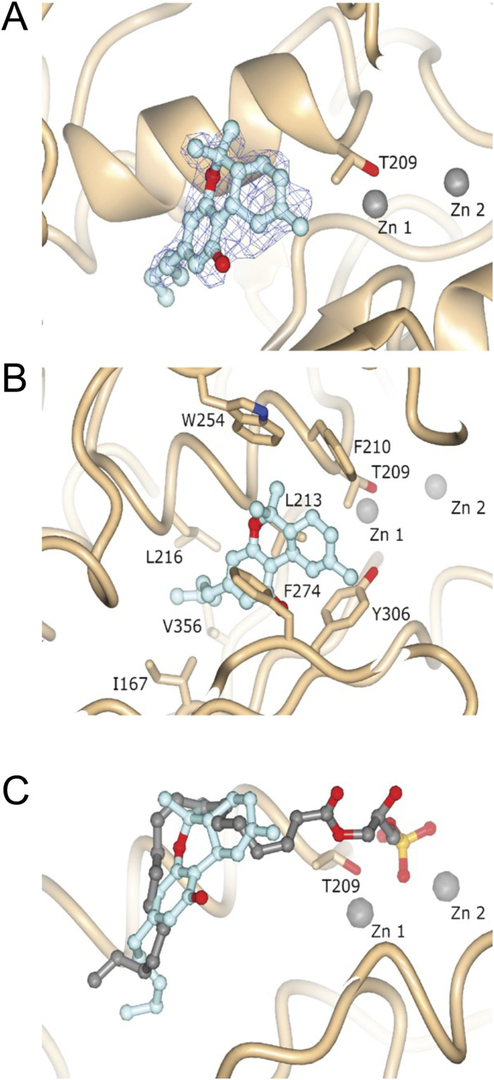 Figure 3.