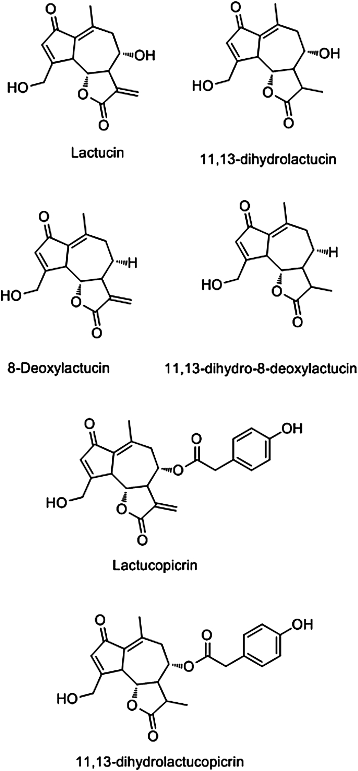 Fig. 2