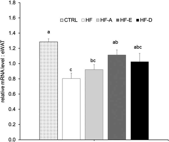 Fig. 9.