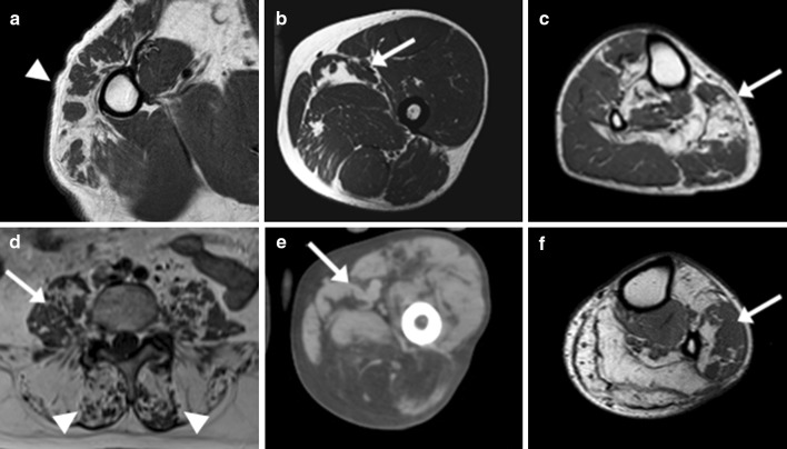 Fig. 5