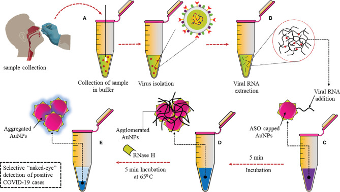 Figure 3