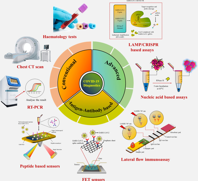 Graphical Abstract