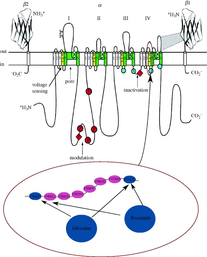 Figure 1.