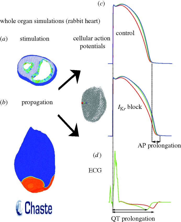 Figure 6.