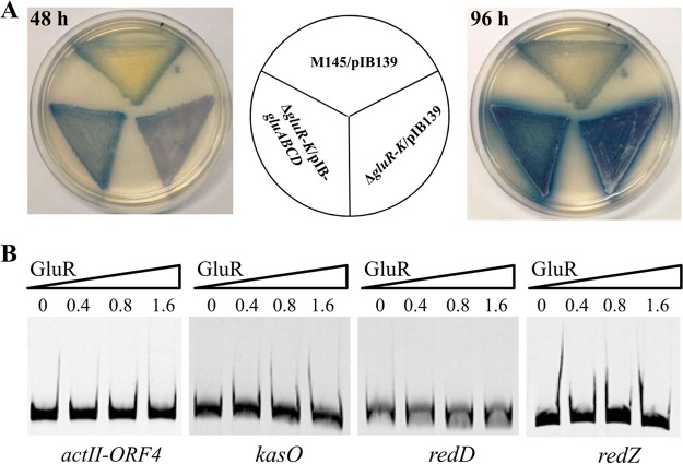 FIG 6