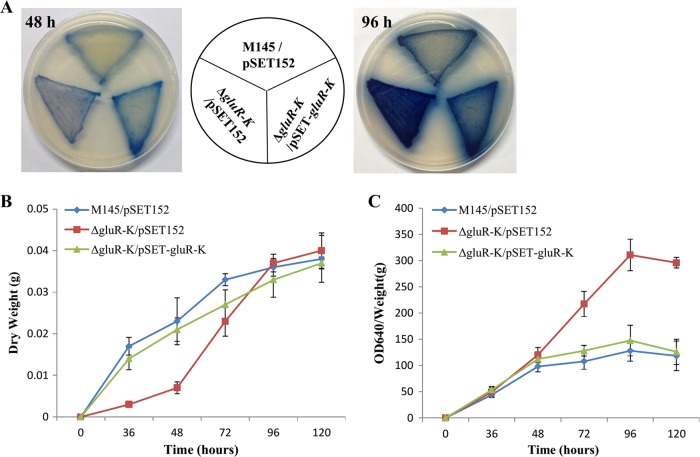 FIG 2