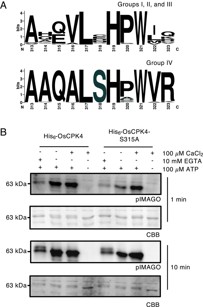 Fig. 5.