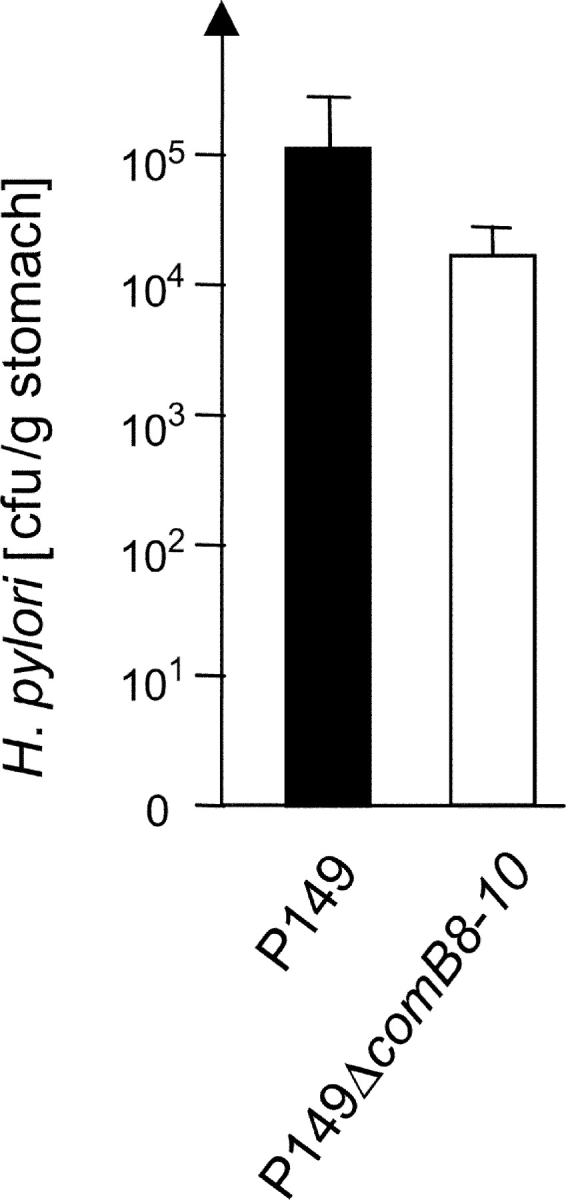 Figure 5.