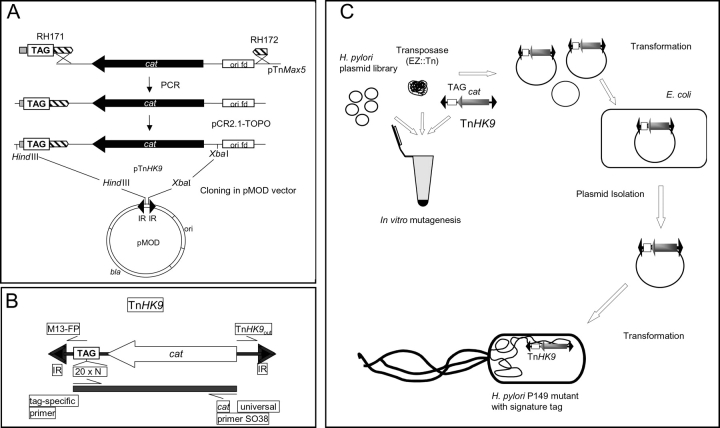 Figure 1.