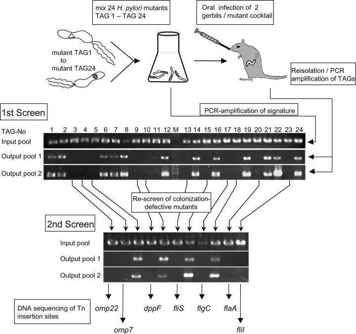 Figure 3.