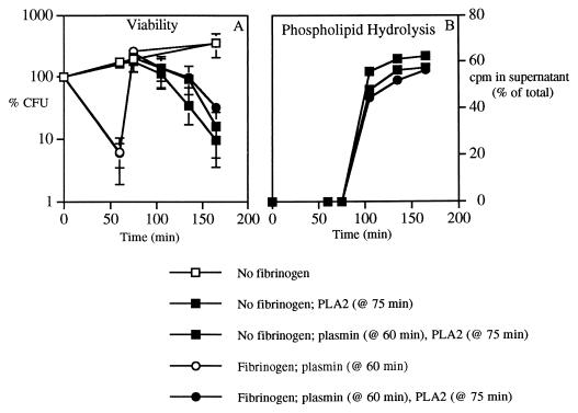 FIG. 5