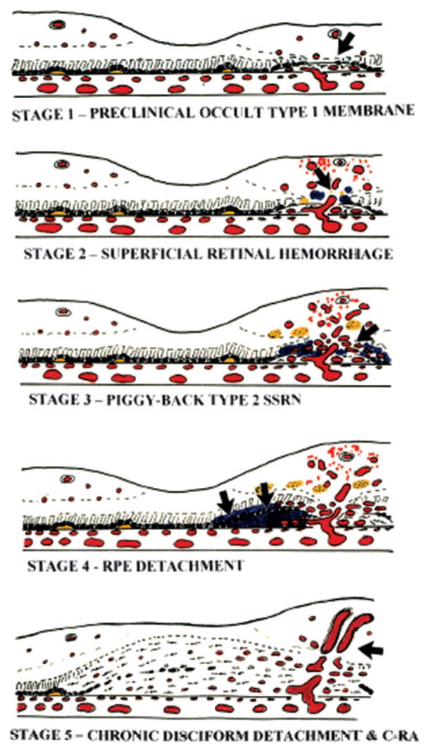 Fig. 2