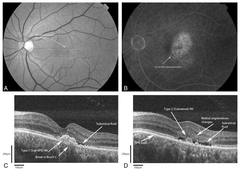 Fig. 7