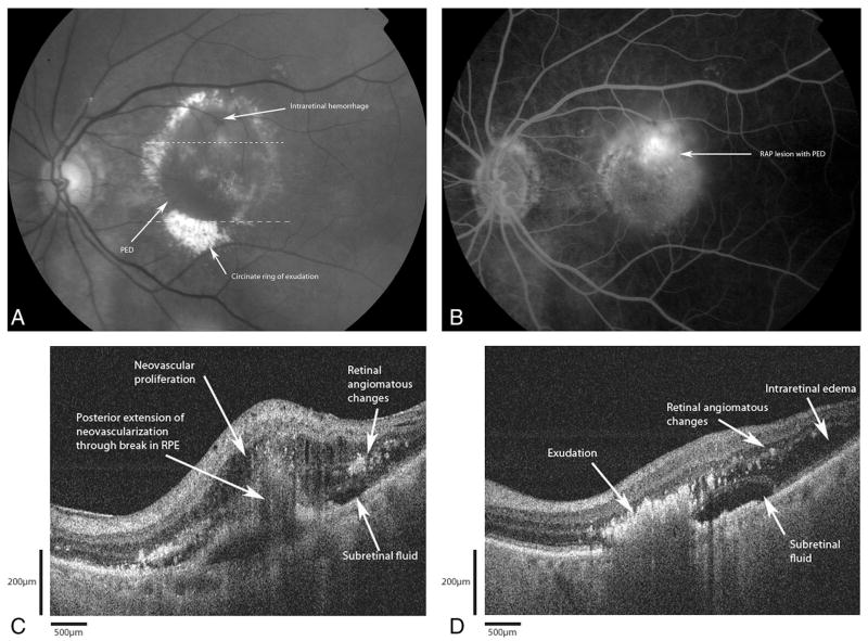 Fig. 6