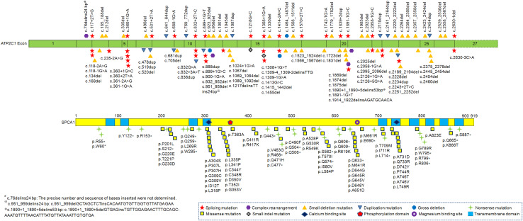 Fig. 2