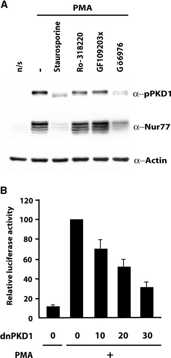 Figure 6.