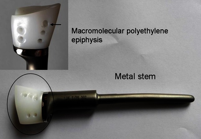 Fig. 2