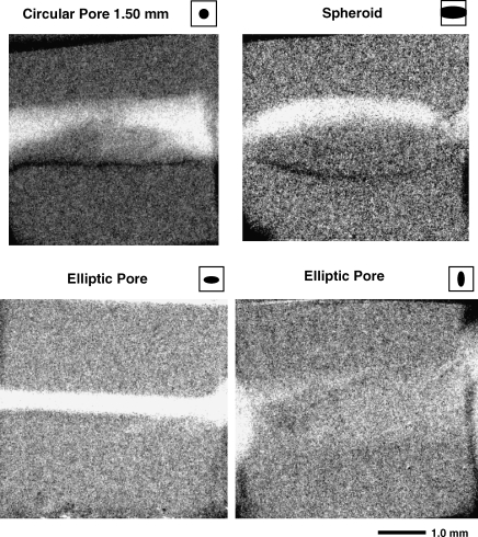 FIG. 7.