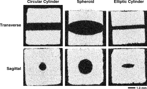 FIG. 2.