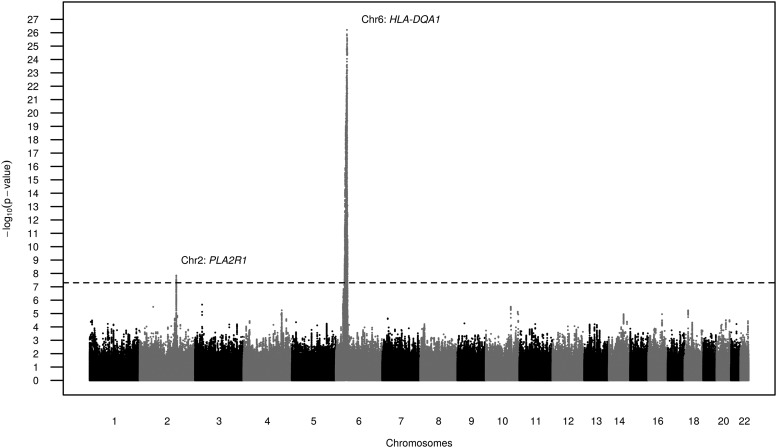 FIGURE 1