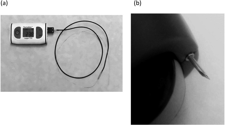 Fig. 1.