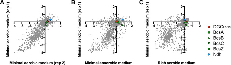 FIG 11