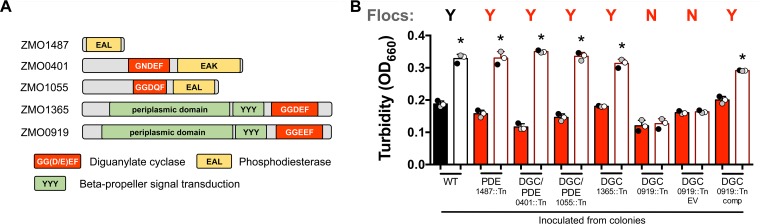 FIG 4