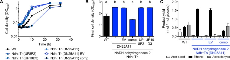 FIG 6