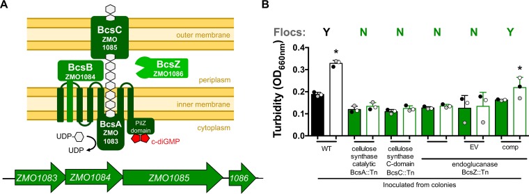 FIG 3