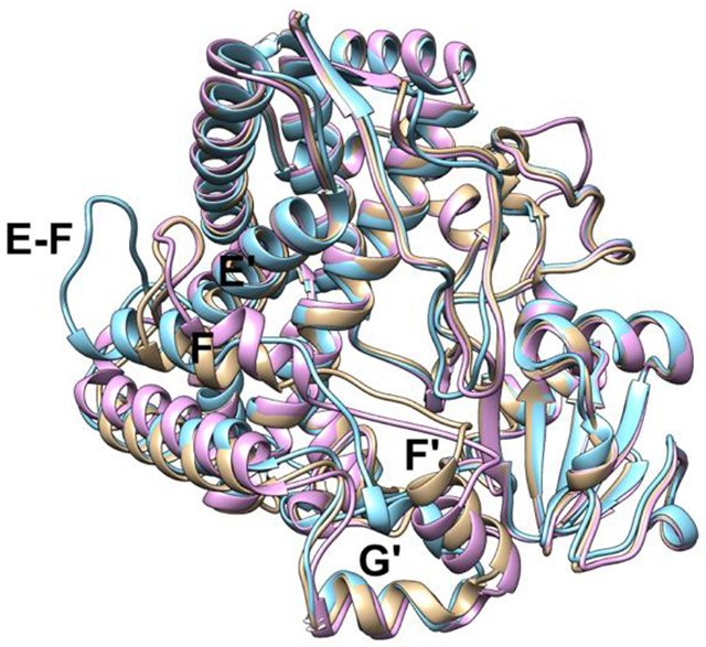 graphic file with name nihms-1895645-f0001.jpg