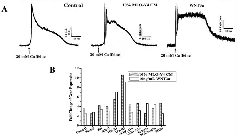 Fig. 9