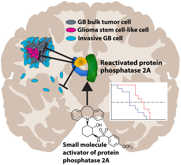 Graphical Abstract