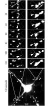 Fig 9
