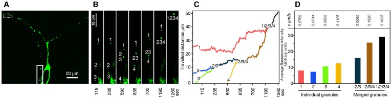 Fig 8