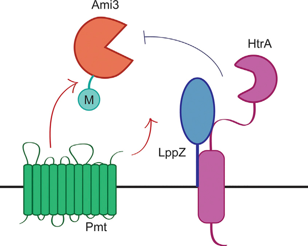 Figure 7.