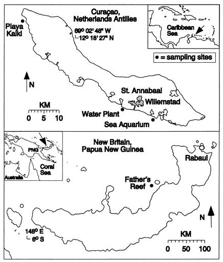 FIG. 1.