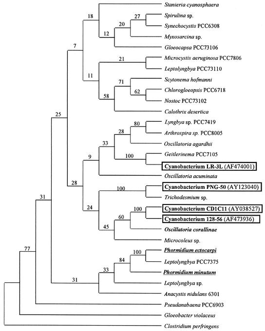 FIG. 2.