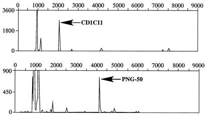 FIG. 3.