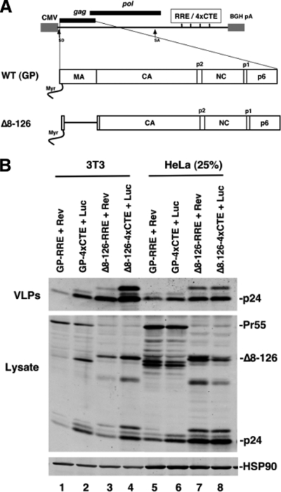 FIG. 1.