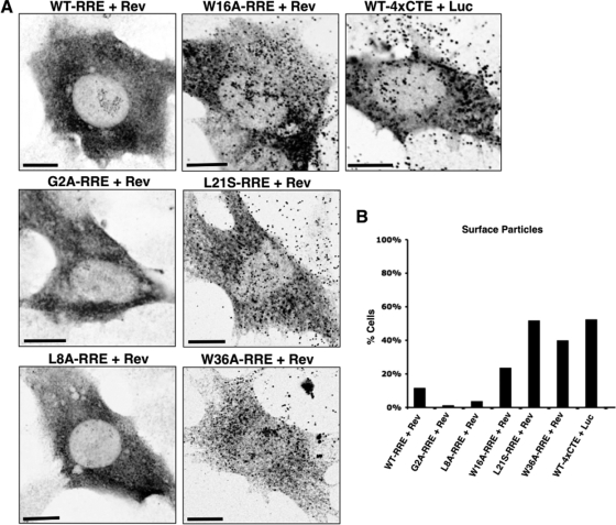 FIG. 6.